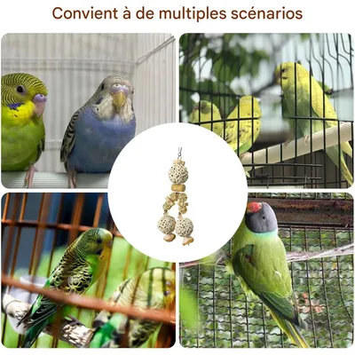 ZooVenture Naturel Jouet à Mâcher pour Oiseaux