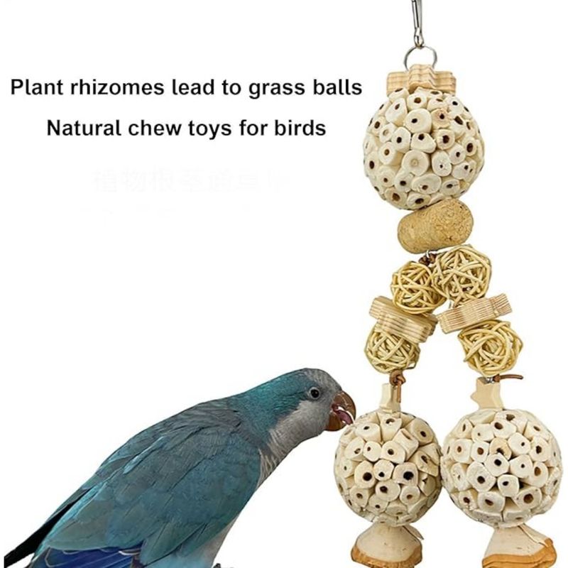 Pet Planet Perroquets Jouet En Boule De Rizier Naturel
