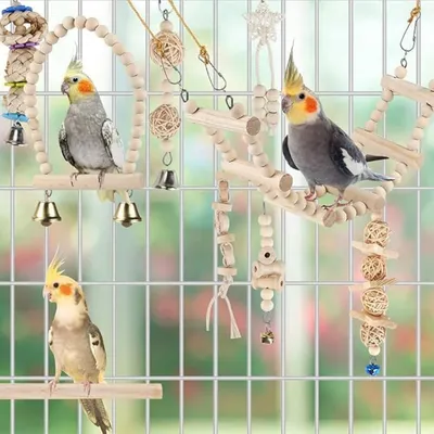 Pet Planet Oiseaux Ensemble de Jouets