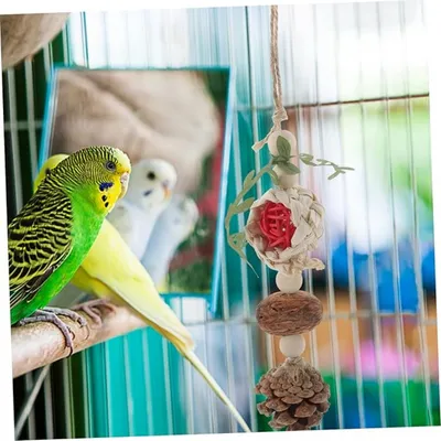 ZooVenture Amusant Jouet à mâcher en Corde de Coton pour Perroquet