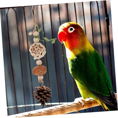 ZooVenture Amusant Jouet à mâcher en Corde de Coton pour Perroquet