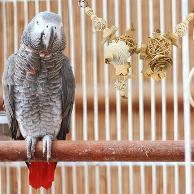 Pet Planet Perroquets Jouet En Boule De Rizier Naturel