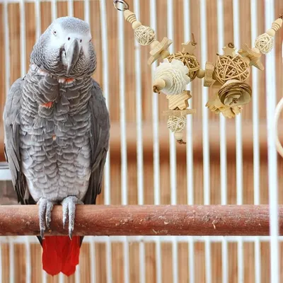 Pet Planet Perroquets Jouet En Boule De Rizier Naturel