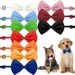 IntiMeg Lot de 10 colliers pour chiens en chats
