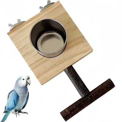 ZooVenture Avec Perchoir Mangeoire en Bois pour Oiseaux ZooVenture Avec Perchoir Mangeoire en Bois pour Oiseaux