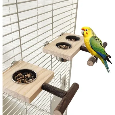 ZooVenture Avec Perchoir Mangeoire en Bois pour Oiseaux