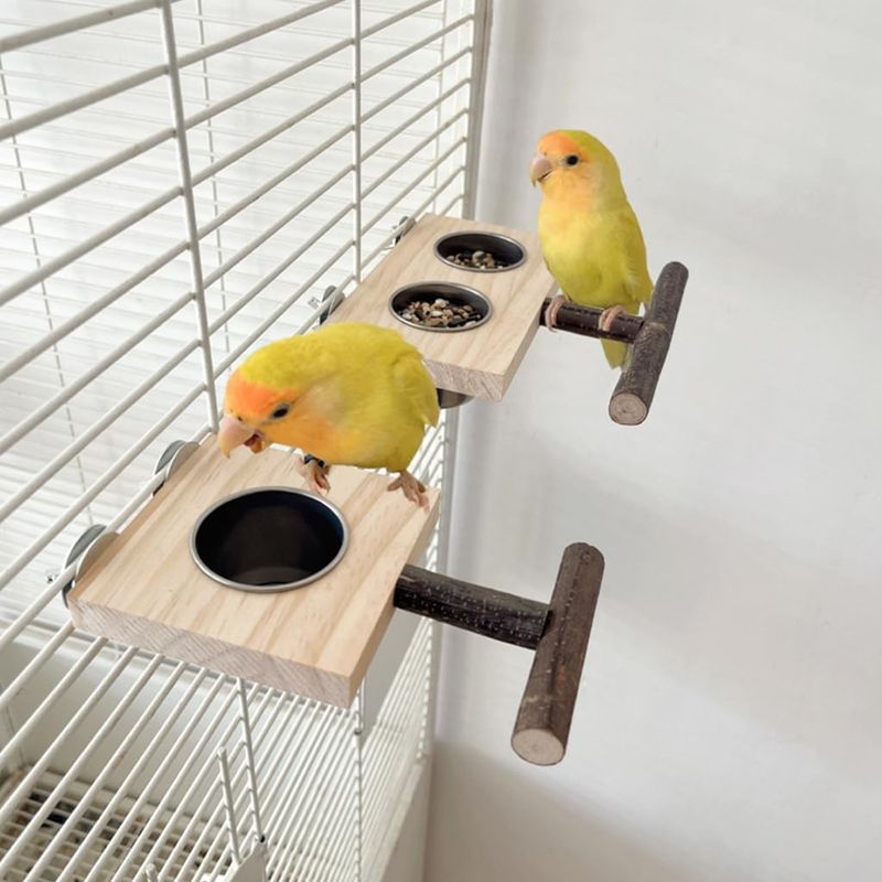 ZooVenture Avec Perchoir Mangeoire en Bois pour Oiseaux