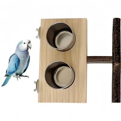 ZooVenture Avec Perchoir Mangeoire en Bois pour Oiseaux