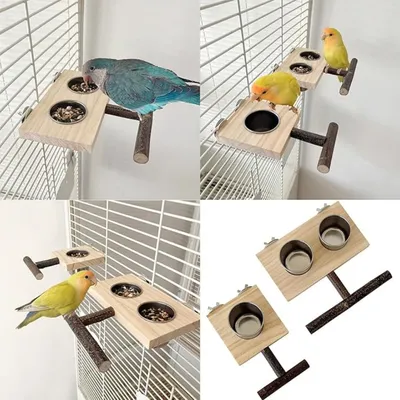 ZooVenture Avec Perchoir Mangeoire en Bois pour Oiseaux