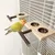 ZooVenture Avec Perchoir Mangeoire en Bois pour Oiseaux