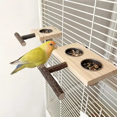 ZooVenture Avec Perchoir Mangeoire en Bois pour Oiseaux
