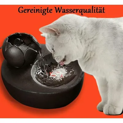 Fontaine d’eau - En céramique - Idéale pour chat et animal de compagnie