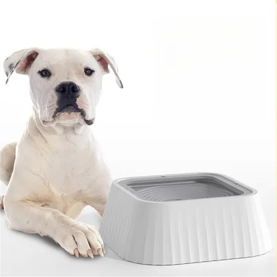 Pet Planet Bol anti - renversement de compagnie