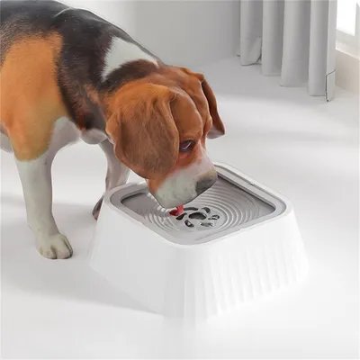 Pet Planet Bol anti - renversement de compagnie