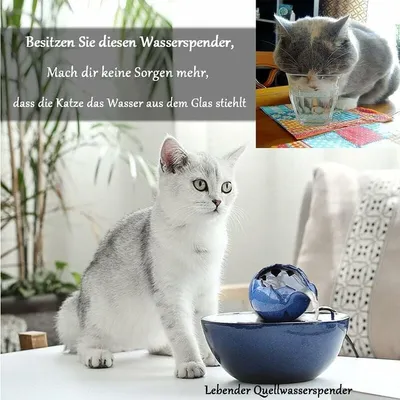 Fontaine d’eau - En céramique - Idéale pour chat et animal de compagnie