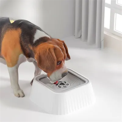 Pet Planet Bol anti - renversement de compagnie