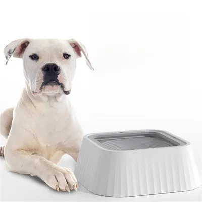 Pet Planet Bol anti - renversement de compagnie
