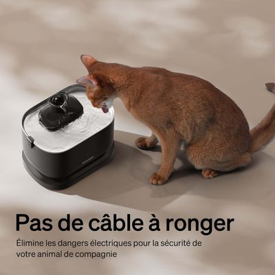 PETLIBRO  Machine à eau silencieuse