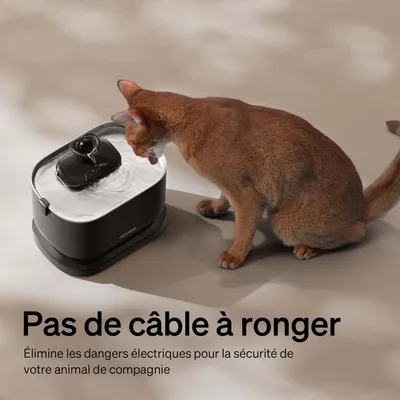 PETLIBRO  Machine à eau silencieuse