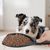 Pet Planet Pelle pour nourriture d'animaux