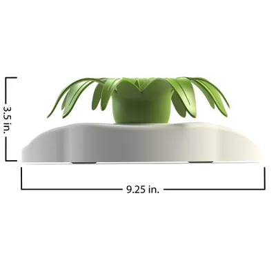 AIKIOU-TINKAT INTERACTIVE BOWLS FLOWER BLANC/VERT
