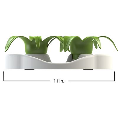 AIKIOU-TINKAT INTERACTIVE BOWLS FLOWER BLANC/VERT