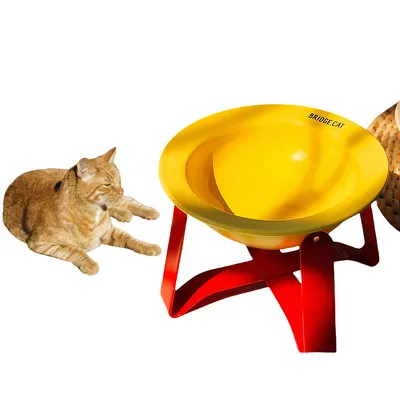 Pet Planet Bol en céramique pour chien et chat