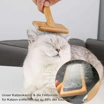 Pet Planet Animaux Brosse de Toilettage