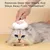 Pet Planet Chat Brosse