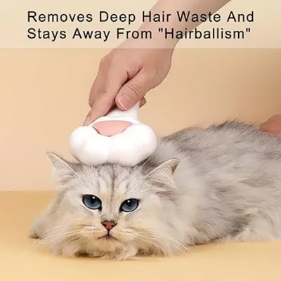 Pet Planet Chat Brosse