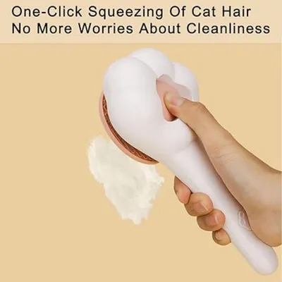 Pet Planet Chat Brosse