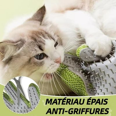 ZooVenture 2 En 1 Gants De Toilettage Pour Chiens Et Chats