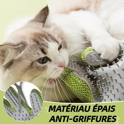 ZooVenture 2 En 1 Gants De Toilettage Pour Chiens Et Chats