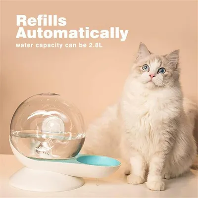 Distributeur d'eau Automatique pour Chien Chat, en Forme d'escargot 2.8 L