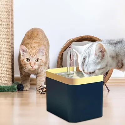 1,5 l - Fontaine à eau rechargeable pour chats, petits chiens et oiseaux