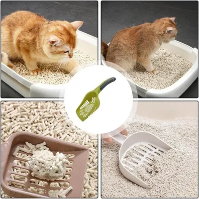 Pet Planet Pelle à Litière pour Chat