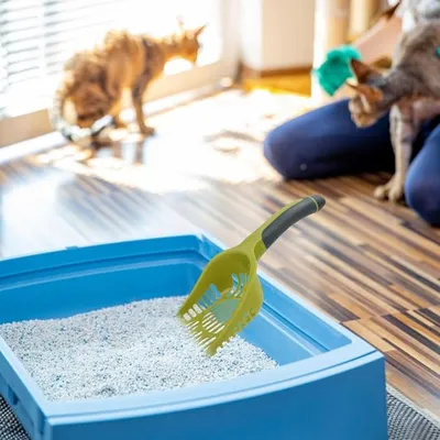 Pet Planet Pelle à Litière pour Chat