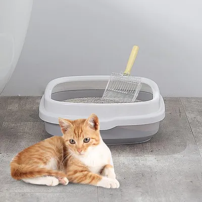 IntiMeg Pelle à litière en métal pour chat