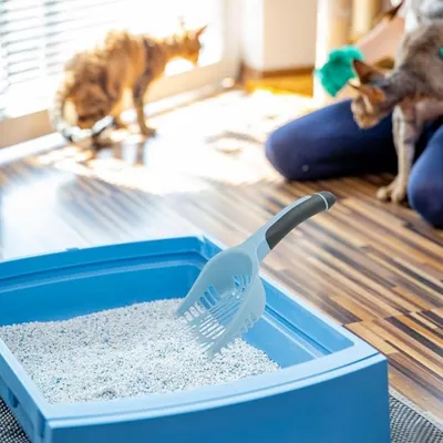 Pet Planet Pelle à Litière pour Chat