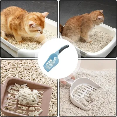 Pet Planet Pelle à Litière pour Chat