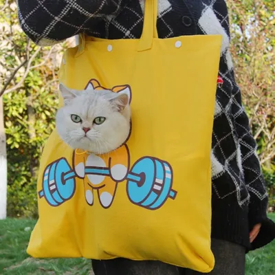 FurryFusion Sac portable pour chat