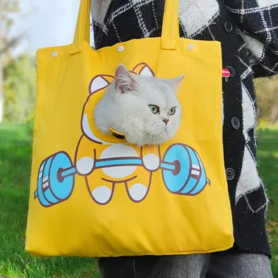 FurryFusion Sac portable pour chat