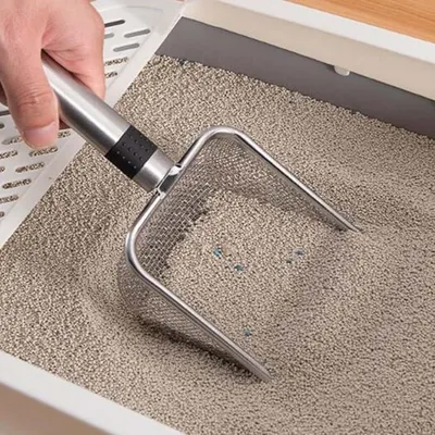 Pet Planet Chat Pelle À Litière