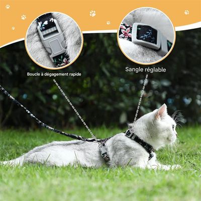 IntiMeg Arnés y correa para gatos