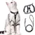 IntiMeg Harnais et laisse pour chat IntiMeg Harnais et laisse pour chat