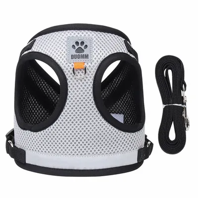 FurryFusion Arnés para gatos