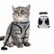FurryFusion Harnais pour chat XS