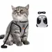FurryFusion Harnais pour chat