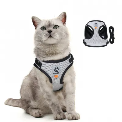 FurryFusion Harnais pour chat