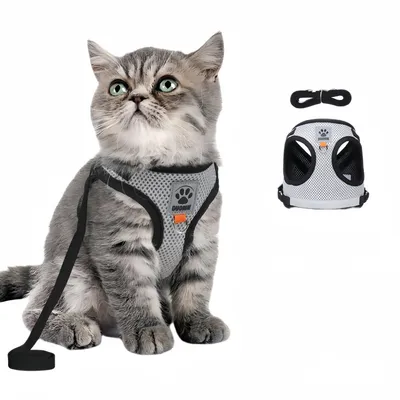 FurryFusion Harnais pour chat